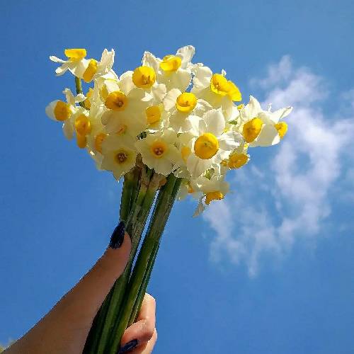 راحت منو رنگ میکنی یه چی هم بگم که جنگ میکنی